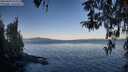 ./images/koeye/fitz-hugh/20260409/fitz-hugh20260409_080001M.jpg