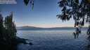 ./images/koeye/fitz-hugh/20260409/fitz-hugh20260409_081001M.jpg