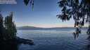 ./images/koeye/fitz-hugh/20260409/fitz-hugh20260409_082002M.jpg