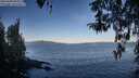 ./images/koeye/fitz-hugh/20260409/fitz-hugh20260409_083001M.jpg