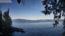 ./images/koeye/fitz-hugh/20260409/fitz-hugh20260409_083501M.jpg