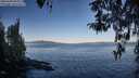 ./images/koeye/fitz-hugh/20260409/fitz-hugh20260409_084001M.jpg