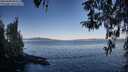 ./images/koeye/fitz-hugh/20260409/fitz-hugh20260409_084501M.jpg