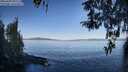 ./images/koeye/fitz-hugh/20260409/fitz-hugh20260409_091502M.jpg