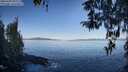 ./images/koeye/fitz-hugh/20260409/fitz-hugh20260409_092002M.jpg