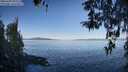 ./images/koeye/fitz-hugh/20260409/fitz-hugh20260409_092501M.jpg