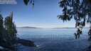 ./images/koeye/fitz-hugh/20260409/fitz-hugh20260409_093002M.jpg