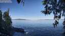 ./images/koeye/fitz-hugh/20260409/fitz-hugh20260409_094001M.jpg