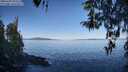 ./images/koeye/fitz-hugh/20260409/fitz-hugh20260409_094501M.jpg