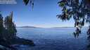 ./images/koeye/fitz-hugh/20260409/fitz-hugh20260409_095502M.jpg