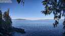 ./images/koeye/fitz-hugh/20260409/fitz-hugh20260409_100001M.jpg