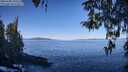 ./images/koeye/fitz-hugh/20260409/fitz-hugh20260409_100502M.jpg