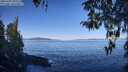 ./images/koeye/fitz-hugh/20260409/fitz-hugh20260409_101001M.jpg