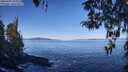 ./images/koeye/fitz-hugh/20260409/fitz-hugh20260409_101501M.jpg