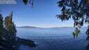./images/koeye/fitz-hugh/20260409/fitz-hugh20260409_102001M.jpg