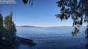 ./images/koeye/fitz-hugh/20260409/fitz-hugh20260409_102501M.jpg