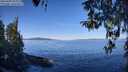 ./images/koeye/fitz-hugh/20260409/fitz-hugh20260409_103002M.jpg