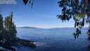 ./images/koeye/fitz-hugh/20260409/fitz-hugh20260409_103501M.jpg