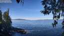 ./images/koeye/fitz-hugh/20260409/fitz-hugh20260409_104002M.jpg