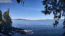 ./images/koeye/fitz-hugh/20260409/fitz-hugh20260409_104501M.jpg
