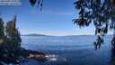 ./images/koeye/fitz-hugh/20260409/fitz-hugh20260409_105001M.jpg