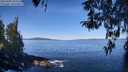 ./images/koeye/fitz-hugh/20260409/fitz-hugh20260409_105501M.jpg