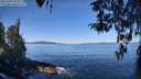 ./images/koeye/fitz-hugh/20260409/fitz-hugh20260409_110002M.jpg