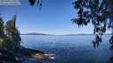 ./images/koeye/fitz-hugh/20260409/fitz-hugh20260409_111001M.jpg