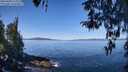 ./images/koeye/fitz-hugh/20260409/fitz-hugh20260409_112502M.jpg