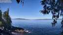 ./images/koeye/fitz-hugh/20260409/fitz-hugh20260409_113001M.jpg