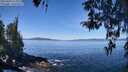 ./images/koeye/fitz-hugh/20260409/fitz-hugh20260409_114001M.jpg