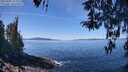 ./images/koeye/fitz-hugh/20260409/fitz-hugh20260409_122502M.jpg
