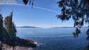./images/koeye/fitz-hugh/20260409/fitz-hugh20260409_123501M.jpg