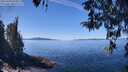 ./images/koeye/fitz-hugh/20260409/fitz-hugh20260409_124501M.jpg