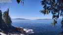 ./images/koeye/fitz-hugh/20260409/fitz-hugh20260409_125501M.jpg