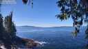 ./images/koeye/fitz-hugh/20260409/fitz-hugh20260409_130501M.jpg