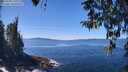 ./images/koeye/fitz-hugh/20260409/fitz-hugh20260409_131001M.jpg