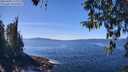 ./images/koeye/fitz-hugh/20260409/fitz-hugh20260409_132501M.jpg