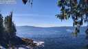 ./images/koeye/fitz-hugh/20260409/fitz-hugh20260409_133001M.jpg
