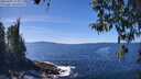 ./images/koeye/fitz-hugh/20260409/fitz-hugh20260409_134001M.jpg