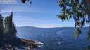 ./images/koeye/fitz-hugh/20260409/fitz-hugh20260409_134501M.jpg