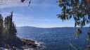 ./images/koeye/fitz-hugh/20260409/fitz-hugh20260409_135501M.jpg