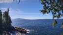 ./images/koeye/fitz-hugh/20260409/fitz-hugh20260409_140001M.jpg