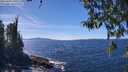 ./images/koeye/fitz-hugh/20260409/fitz-hugh20260409_140501M.jpg