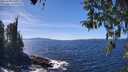 ./images/koeye/fitz-hugh/20260409/fitz-hugh20260409_141002M.jpg