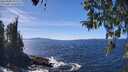 ./images/koeye/fitz-hugh/20260409/fitz-hugh20260409_141501M.jpg