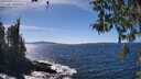 ./images/koeye/fitz-hugh/20260409/fitz-hugh20260409_144501M.jpg