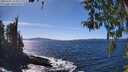 ./images/koeye/fitz-hugh/20260409/fitz-hugh20260409_145001M.jpg