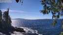 ./images/koeye/fitz-hugh/20260409/fitz-hugh20260409_145501M.jpg