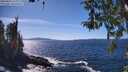 ./images/koeye/fitz-hugh/20260409/fitz-hugh20260409_150002M.jpg